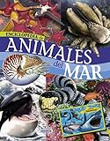 Animales del mar (Biblioteca esencial)